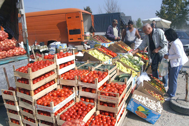 СРПСКА САЛАТА ИЗ АЛБАНИЈЕ: Наша земља све више увози свеже поврће са свих континената, али највише из комшилука